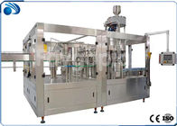 Automatische Flessenvullenmachine voor Sap/Drank, Hete het Vullen van SUS304 Machine